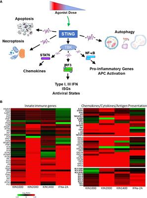 Review: Current trends, challenges, and success stories in adjuvant research